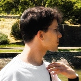 Saša Čečavac