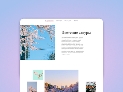 Lonreed cherry blossom design graphic design longreed ui ux web website