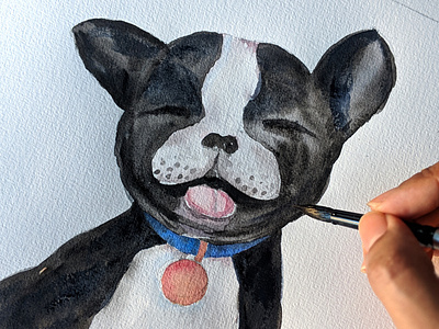 Watercolour French Bulldog illustration water watercolour