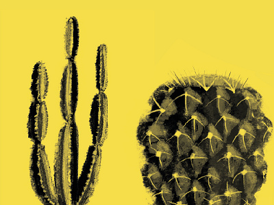 Cactaceas black and yellow cactus illustration mexico