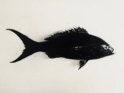 Gyotaku black fish ink print