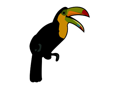 Bird illustration