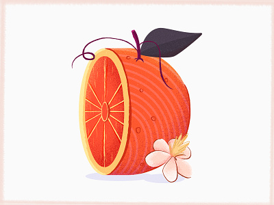 D | 36 Days of Type 2d 36 days of type 36daysoftype color d fruit illustration letter lettering orange