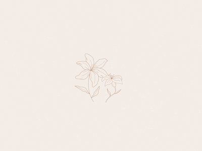 Lily Illustration by Morgan Brewer (Parsons) on Dribbble