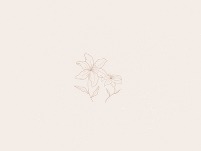 Lily Illustration botanical brand design branding design floral flowers illustration lily line drawing logo minimalism pen tool