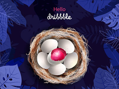 Hello Dribbble 2d dribbble eggs flat illustration nest nest eggs vector