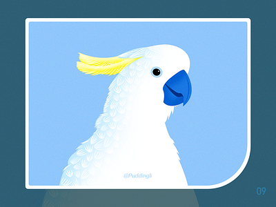 Parrot