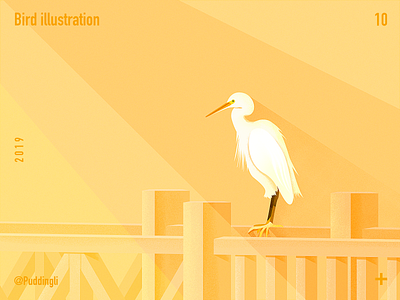 Bird illustration illustration