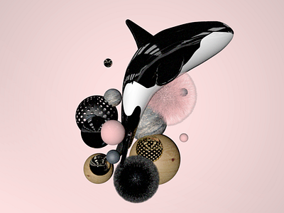 Orca after effects cinema 4d orca
