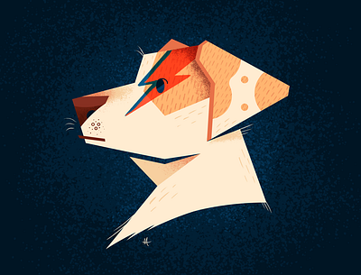 Bowie design graphic design illustration