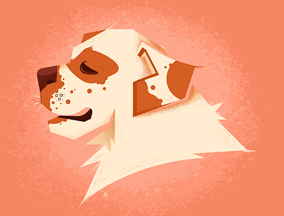 Clumber Spaniel design graphic design illustration vector