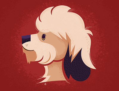 Dandie Dinmont Terrier design graphic design illustration vector