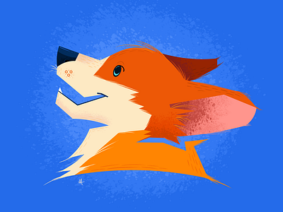 Welsh Corgi design graphic design illustration vector