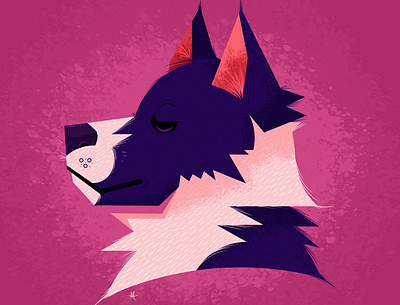 Karelian Bear Dog design graphic design illustration vector