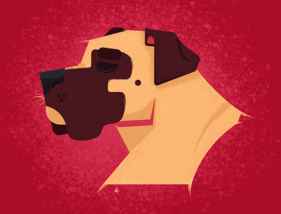 Bullmastiff design graphic design illustration vector