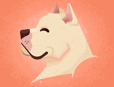 Dogo Argentino design graphic design illustration vector