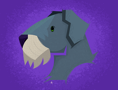 Cesky Terrier design graphic design illustration vector