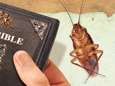 Nausea badmojo barata bible book bíblia cockroach game hand holding insect inseto inspiration jogo light mobile mão page papel paper real realism realismo realista realistc roach shadow