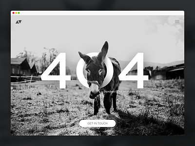 404 Donkey