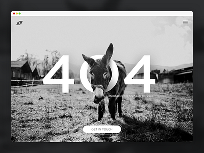 404 Donkey 404 black and white donkey