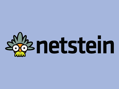 Netstein einstein netstein