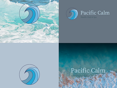 Pacific Calm Logo Design branding design graphic design illustration logo typography vector