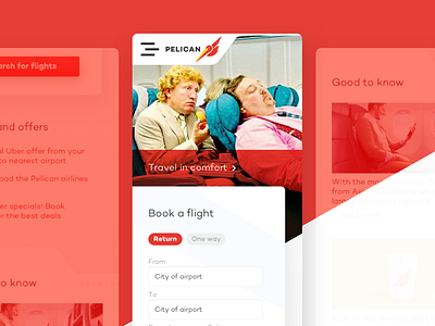 Pelican Airlines in Progress brand design branding development.