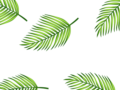 Day 6 | Some palm leaves colors design flat illustration leaves palm palm leaf