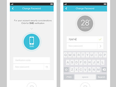 SMS verification, change passwords app ios iphone ui ux