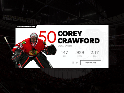 NHL Player Card