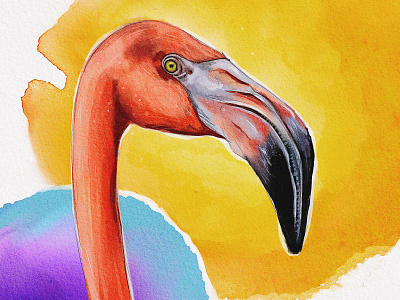 Flamingo 2.0 details illustration procreate textures watercolor