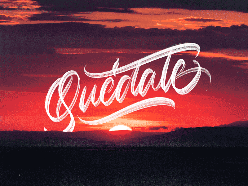 Quedate calligraphy details lettering procreate textures