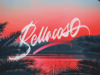 Bellacoso - v1 brushpen calligraphy colors details lettering procreate textures