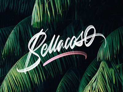 Bellacoso -v2 brushpen calligraphy colors details lettering procreate textures