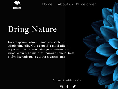 online nursery we design ui concept animation flower graphic design logo ui website