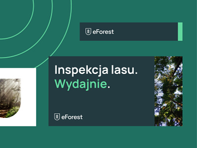 e-Forest - visual identity brand forest identity logo tree trees wood woods