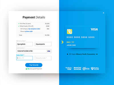 Revamped payment form credit dapulse payment pricing secured