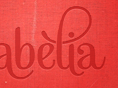 Babèlia Fixed book cover fabric gotham logo logotype mishka texture typography