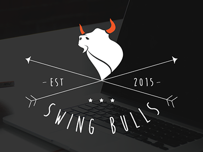 Swing Bulls Identity agency branding bull identity logo orange