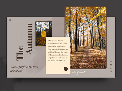 The Autumn autumn color palette concept design graphic grid inspiration interface layout photo rubynguyenart ui ux web website