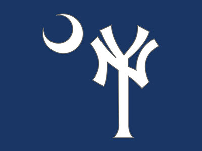 Yankees fans in South Carolina design flag icon illustration logo new york nyy south carolina vector yankees