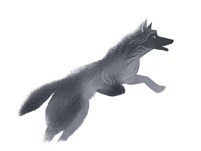 Running Wolf animal character characterdesign fur grayscale running texture wolf