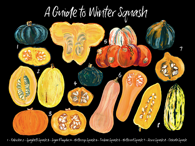 A Guide to Winter Squash Poster