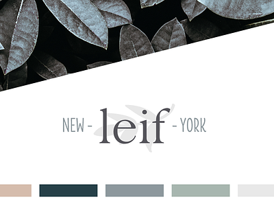 Leif - final logo and colors brand color palette cool earthy icon leaves logo muted photo pretty simple typography