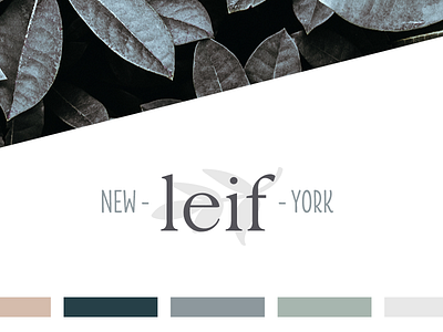 Leif - final logo and colors