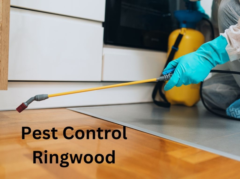Pest Control Ringwood by Carpet Cleaning on Dribbble