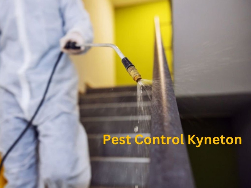 Pest Control by Carpet Cleaning on Dribbble