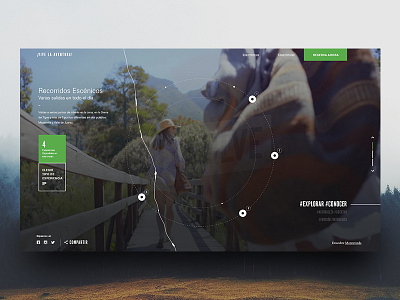 Green Forest Circular Navigation adventure experience forest green pines ui web design website