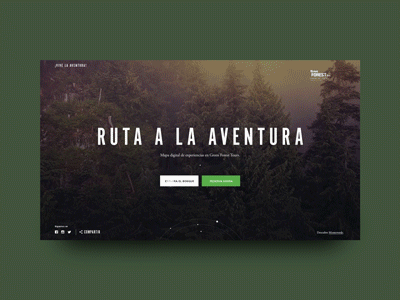 Green Forest Intro Animation adventure animation experience forest green pines ui web design website
