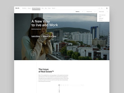 Kob + Co: Real Estate Development clean minimalism real estate ui design web white